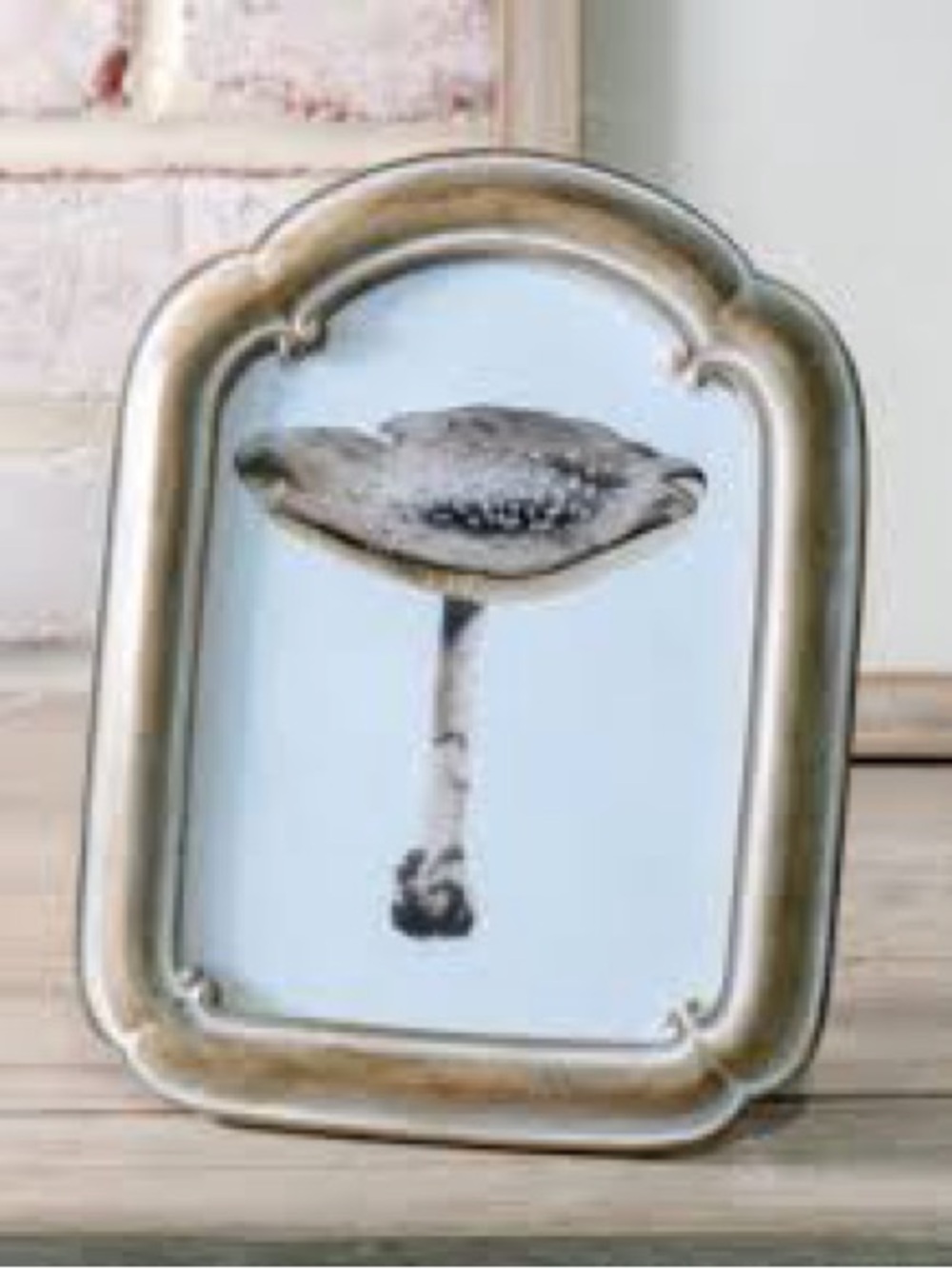 Arch vintage inspired mushroom frame 5 x 7